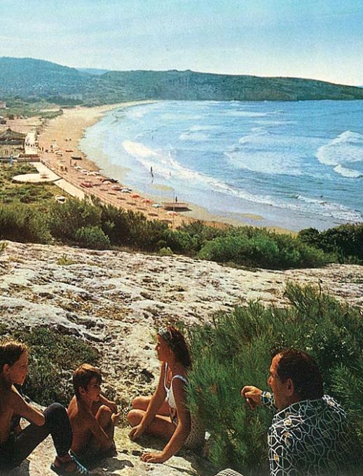 Gruppo di persone sedute su una collina con vista sulla spiaggia e il mare.