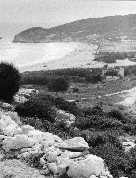 Spiaggia con dune e vegetazione, vista sul mare e colline sullo sfondo.